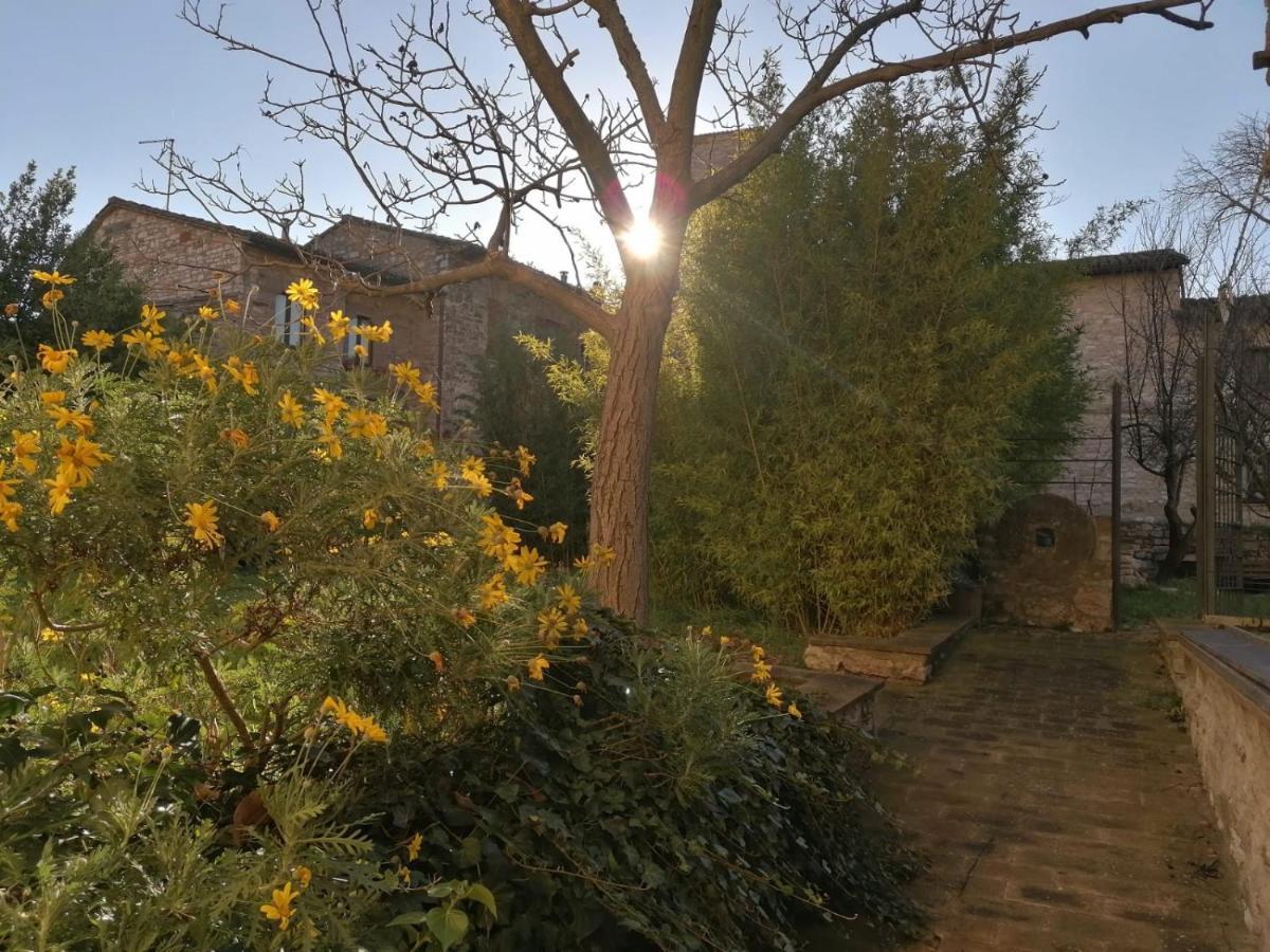 Assisi Hus Stanza Tripla In Appartamento Buitenkant foto